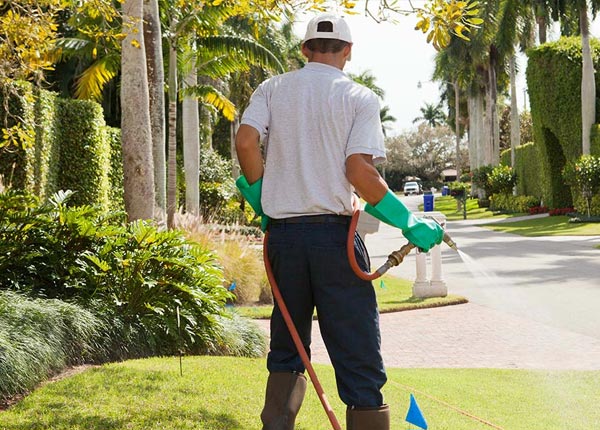 About Wethersfield CT Pest Control